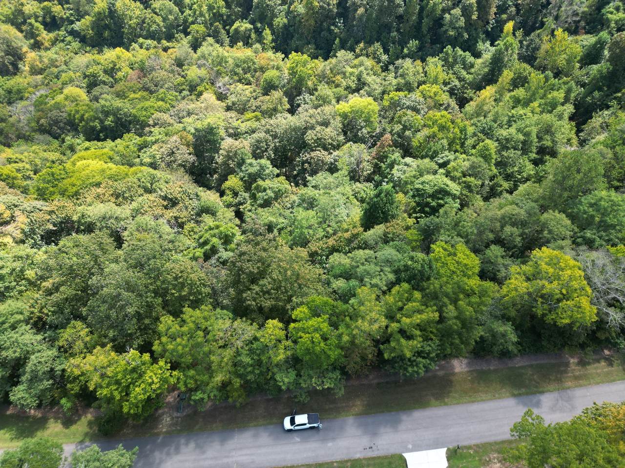 0 Rutherford Lane - Photo 1