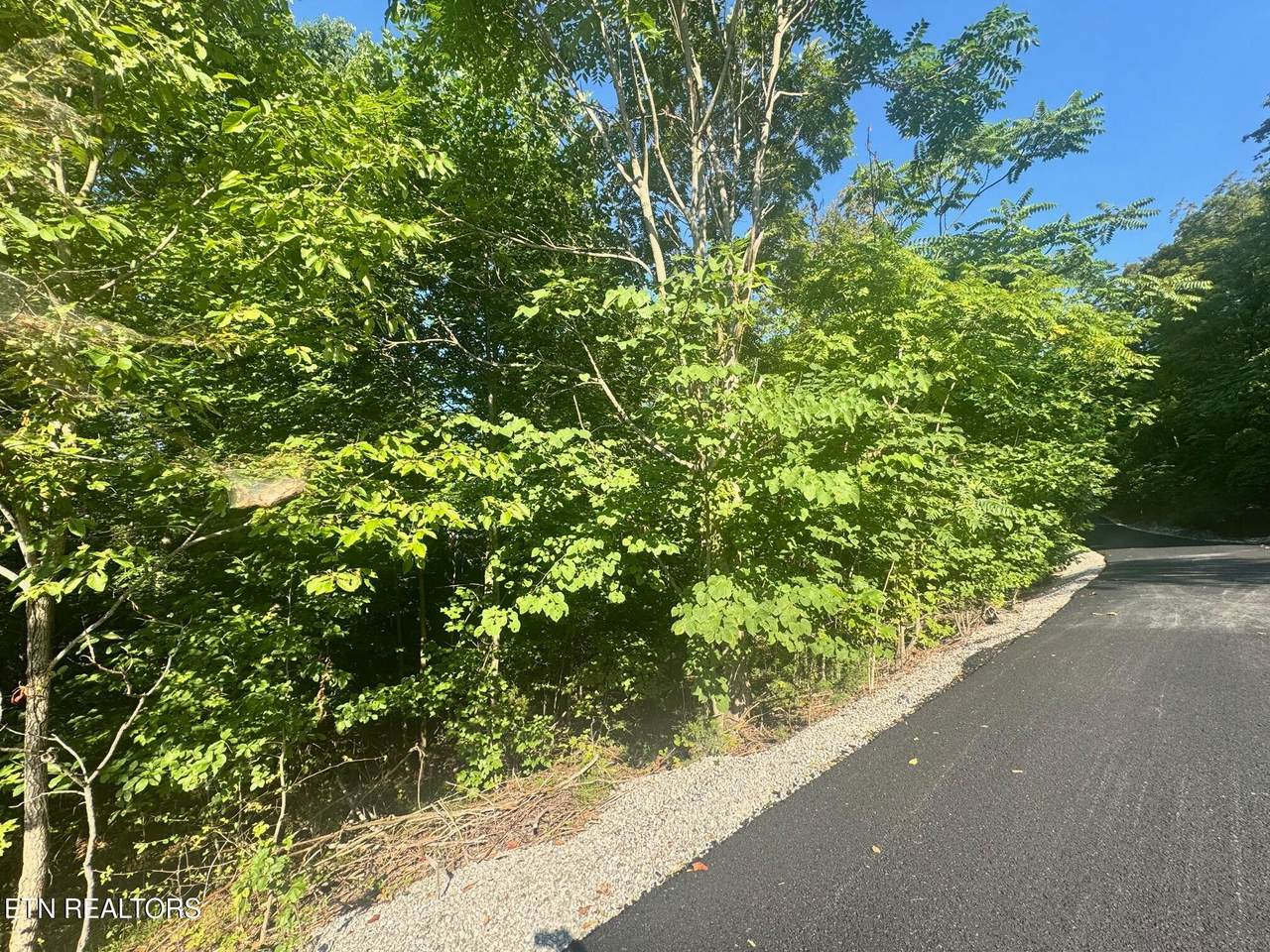 617 N North Pointe Tr - Photo 1