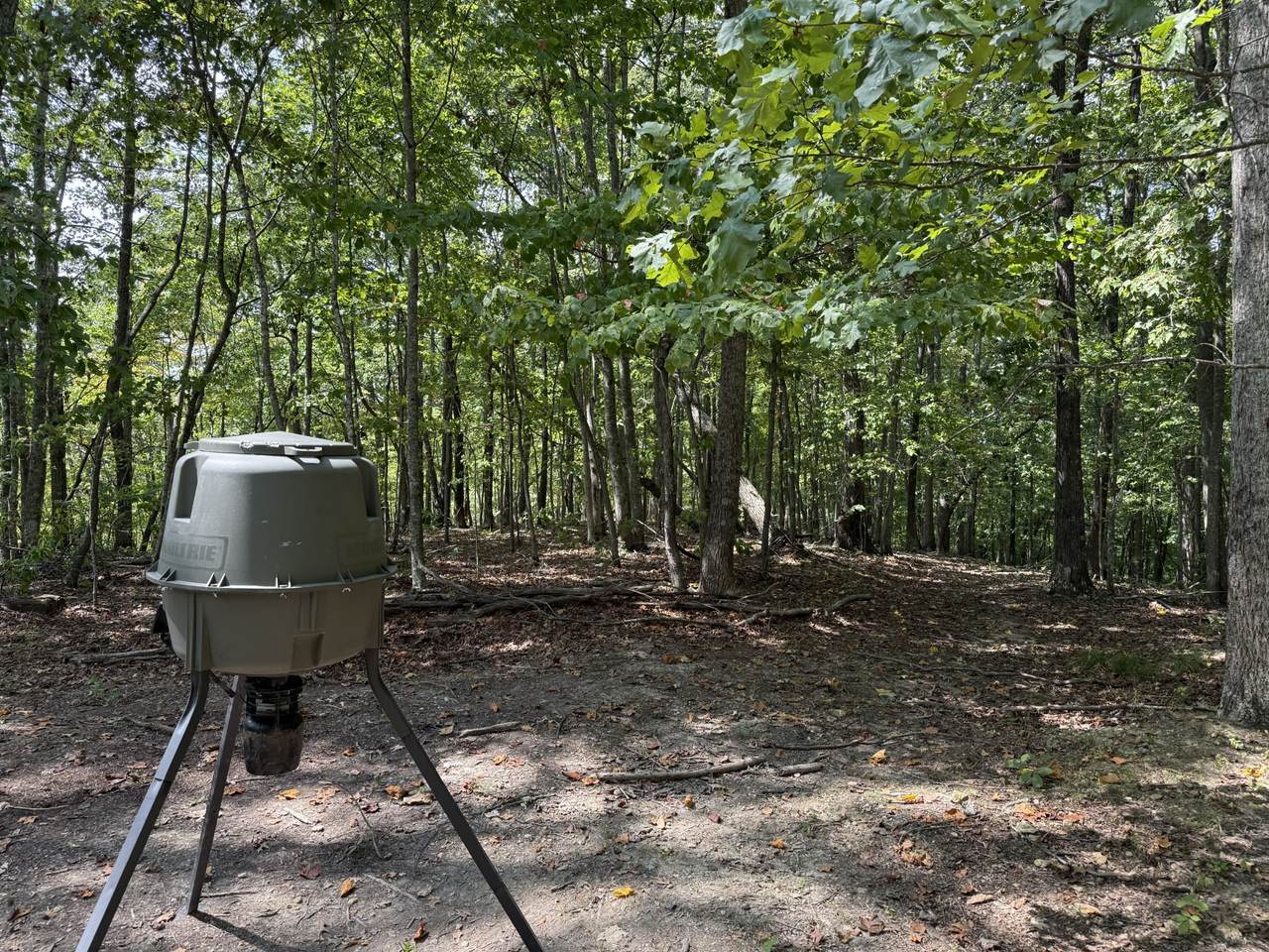 0 Spence Ln - Photo 1