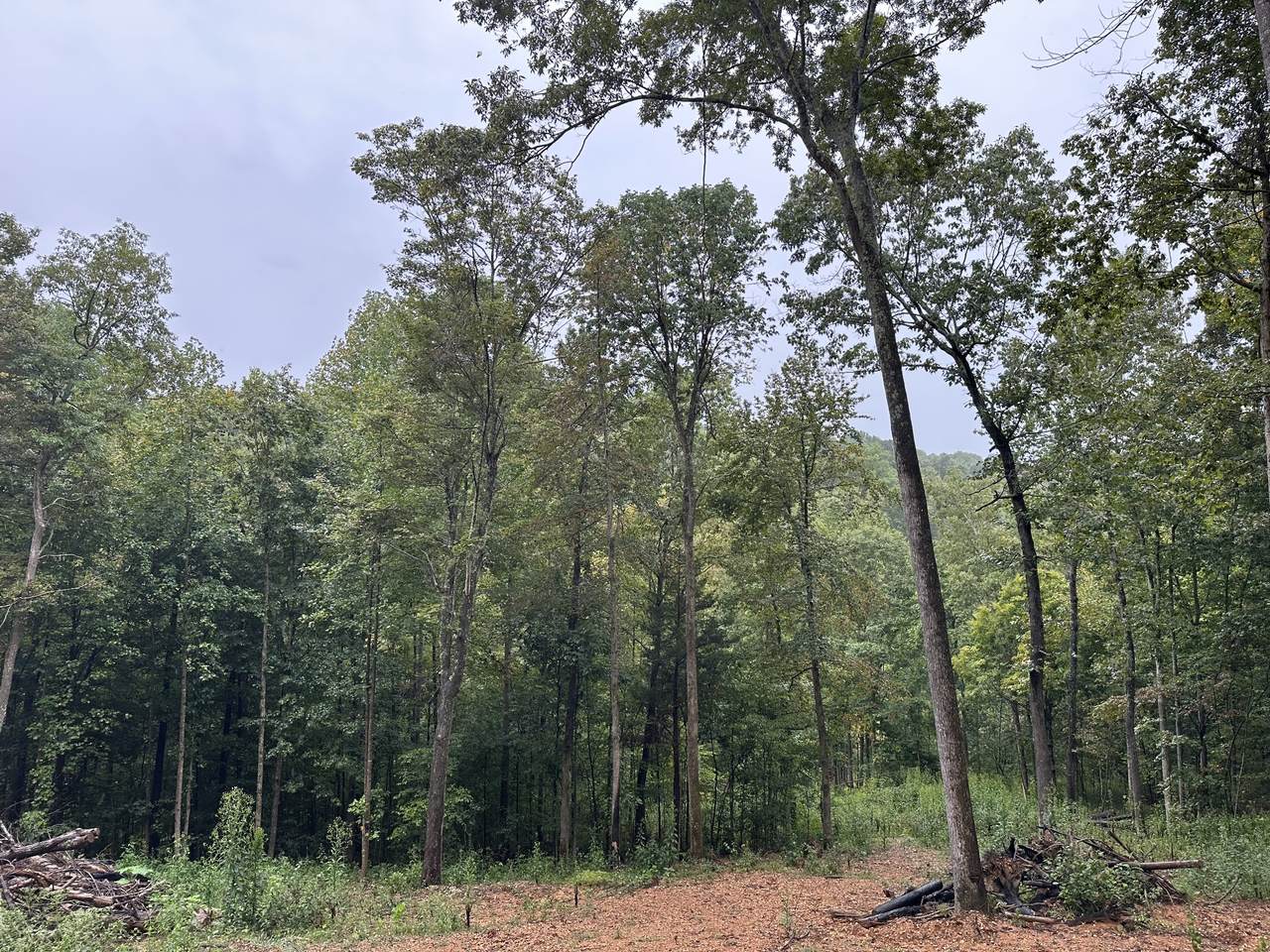 453 Gravely Hill Road - Photo 1