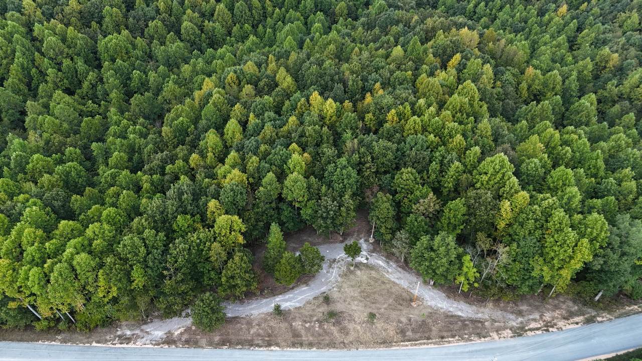 4439 Old Hohenwald Rd - Photo 1