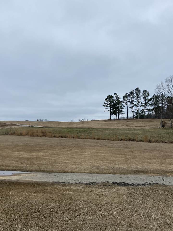 0 Rest Lane - Photo 1