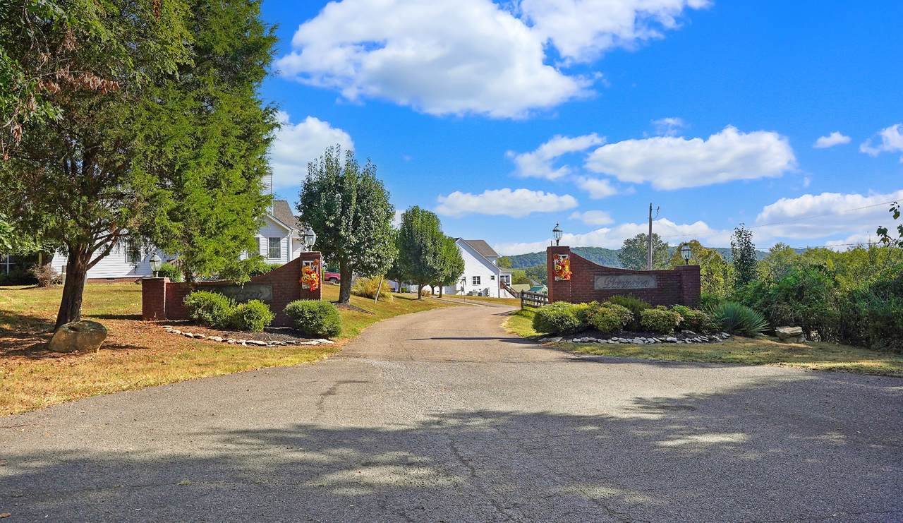 123 Rose Dr - Photo 1