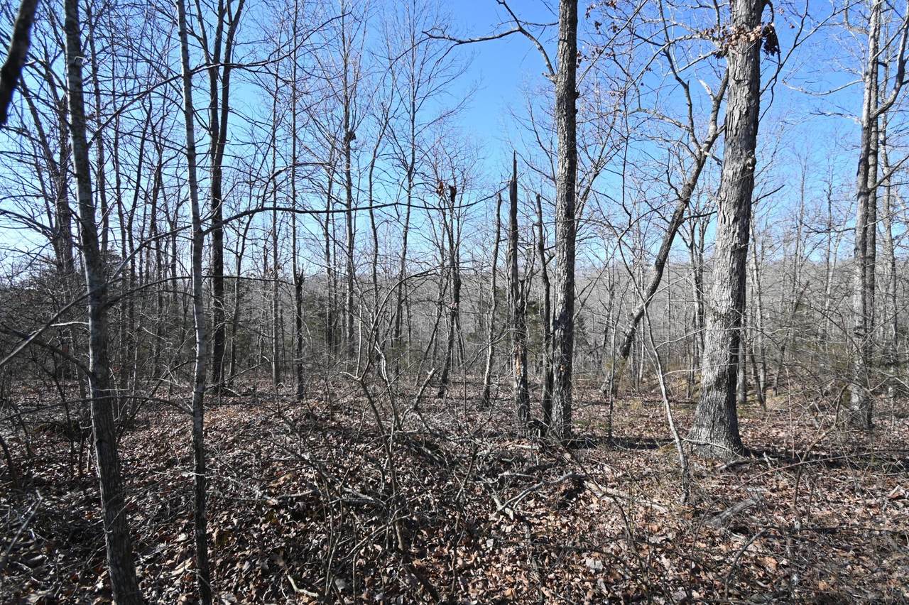 130 Wyatt Ln - Photo 1