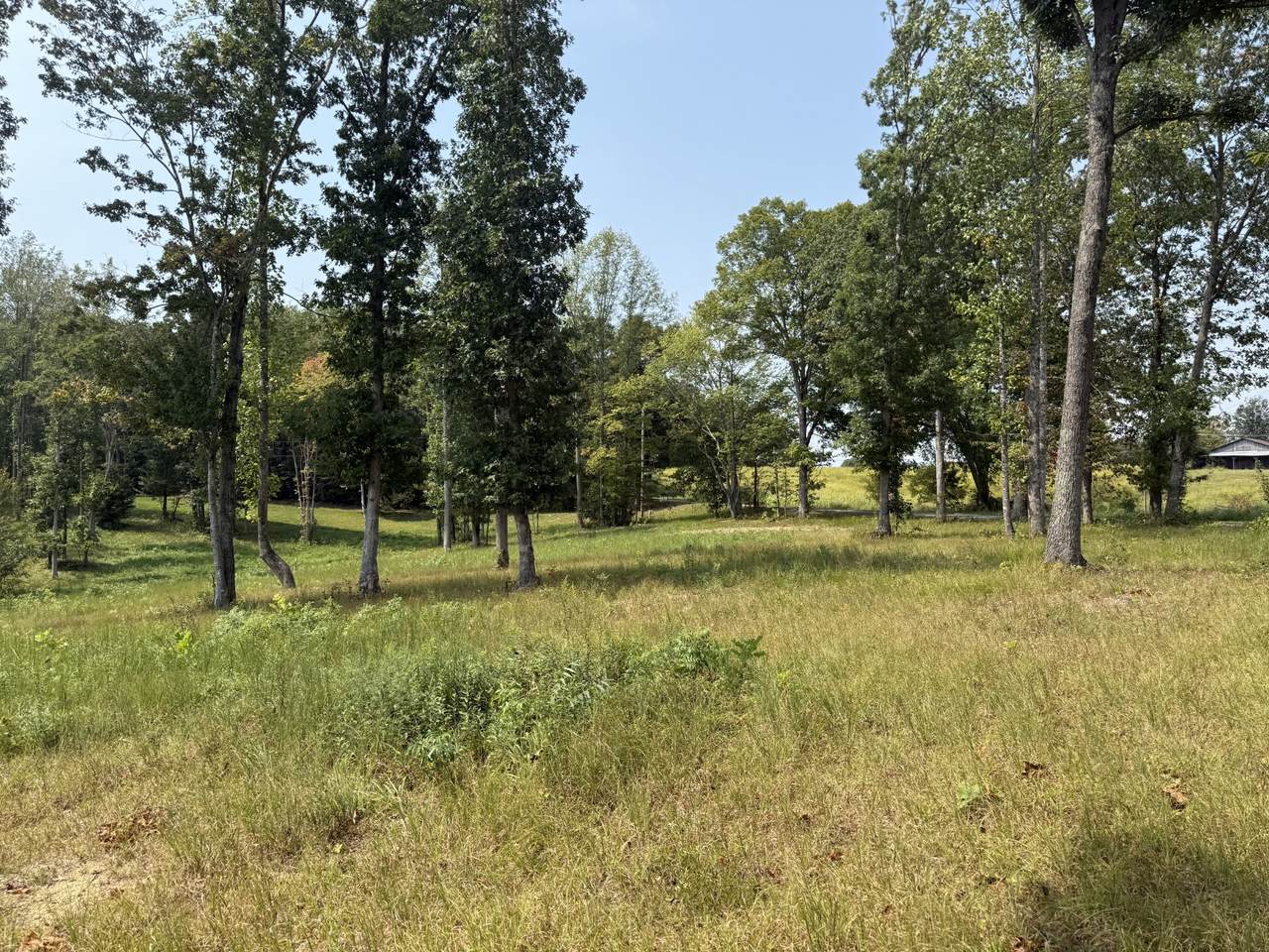 216 Virgil Deckard  Rd - Photo 1