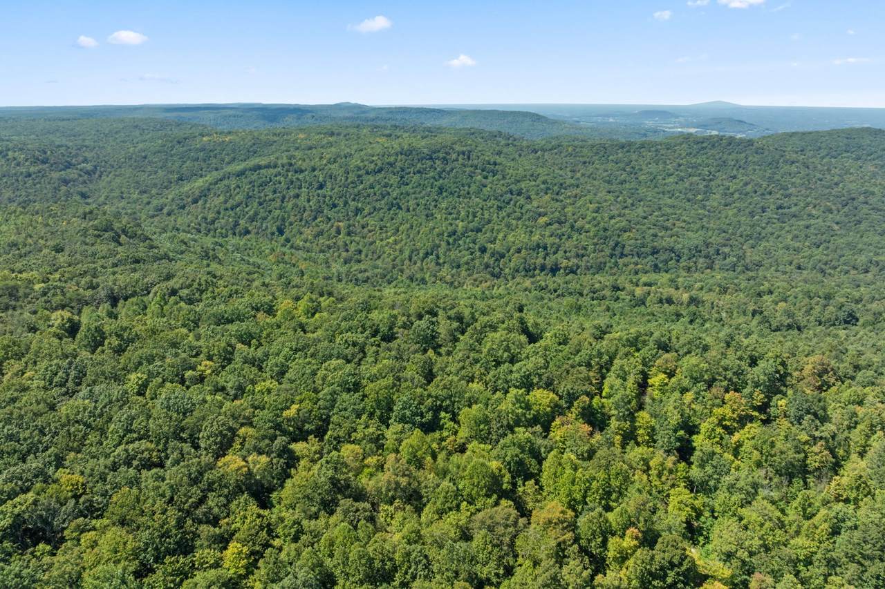 0 Lick Hollow Br - Photo 1