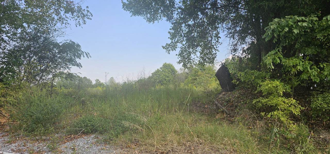 3551 Highway 48 - Photo 1