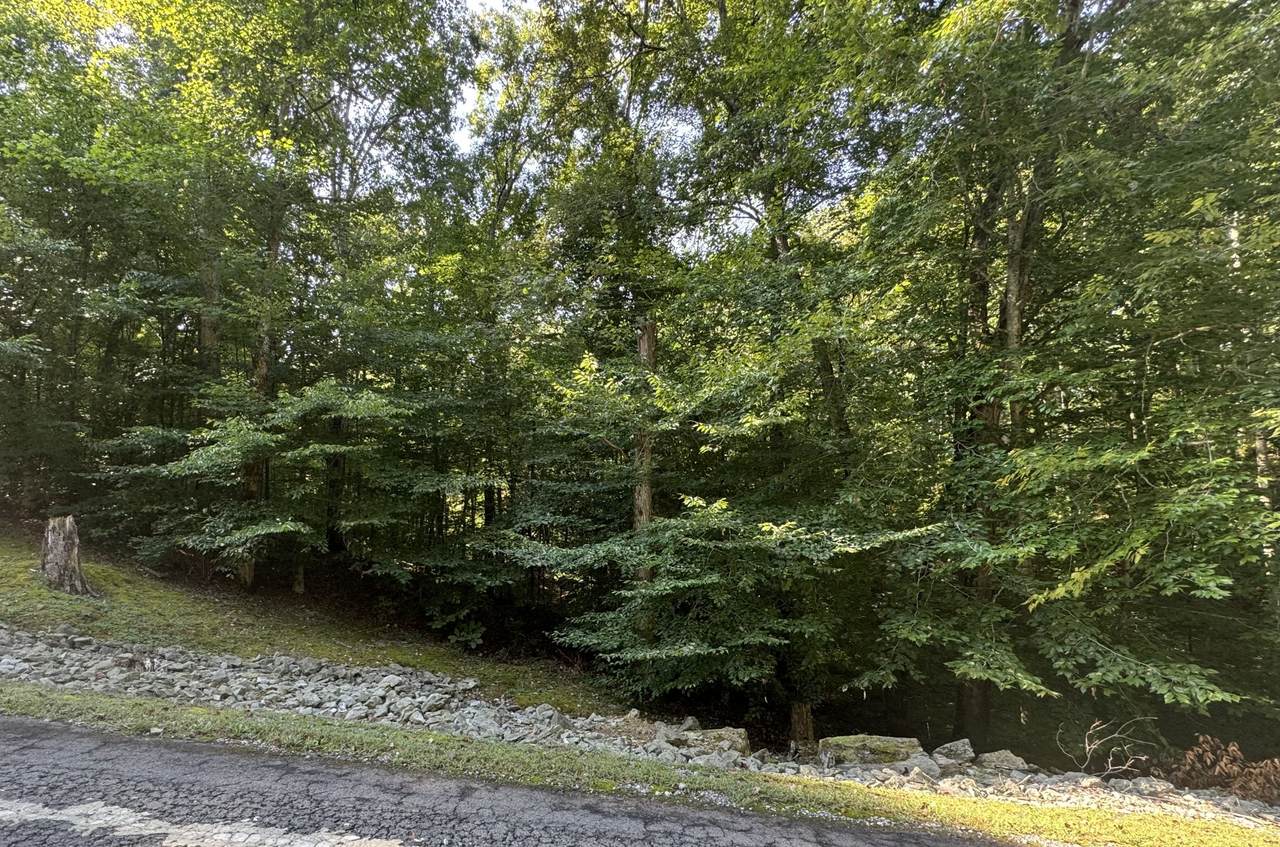 7621 Chipmunk Ln - Photo 1