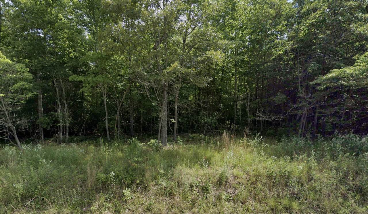 120 Newgate Rd - Photo 1