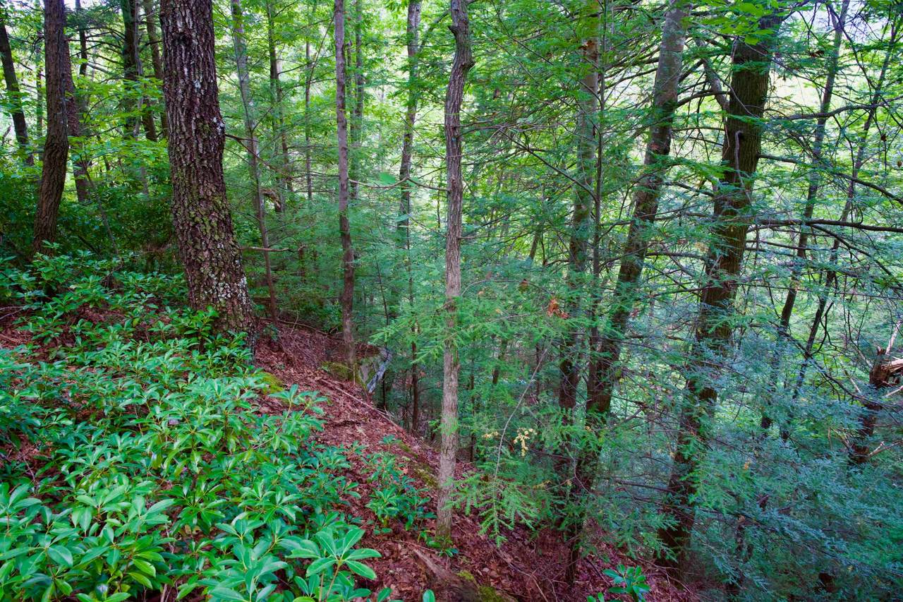 0 Fikes Field Rd & Greenfield Rd - Photo 1