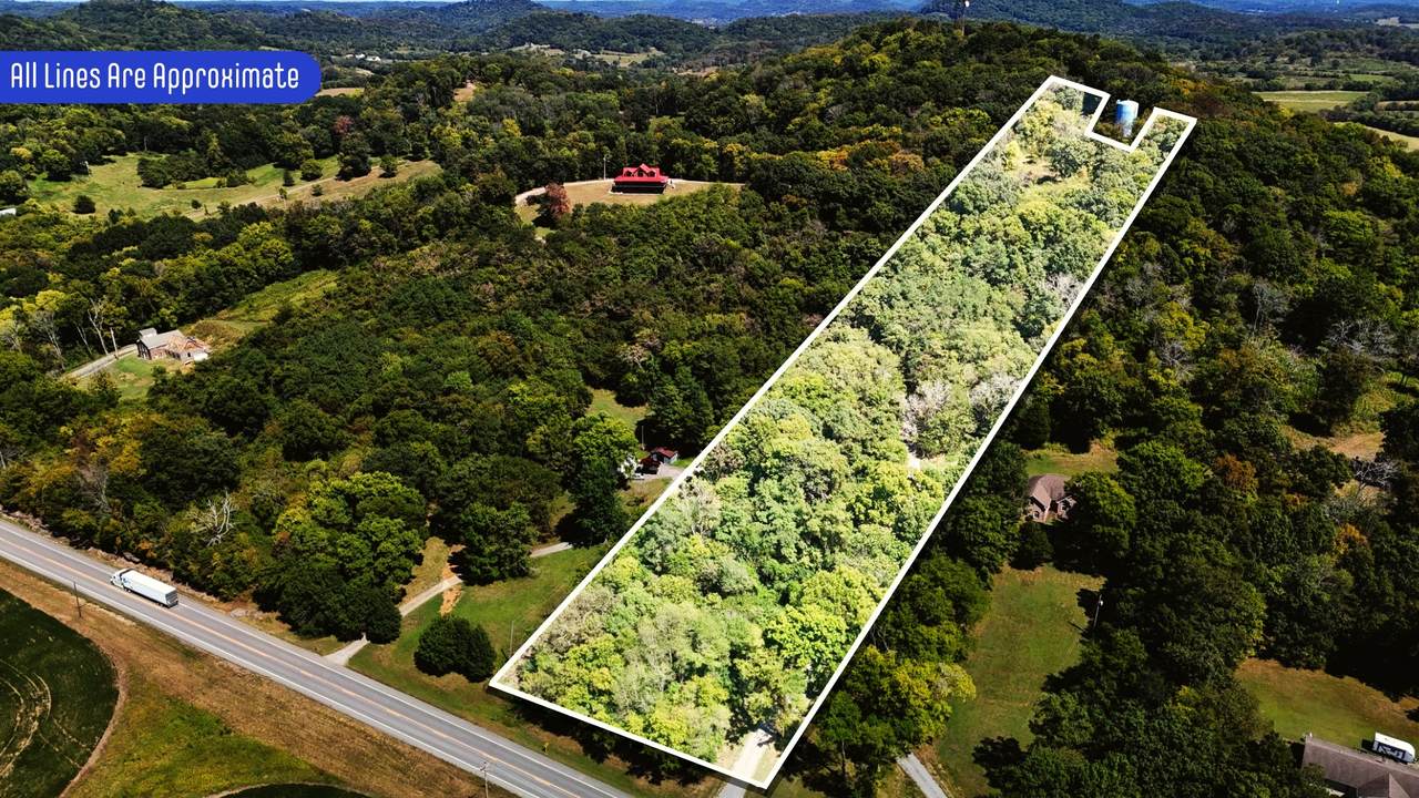 0 Highway 231 N - Photo 1