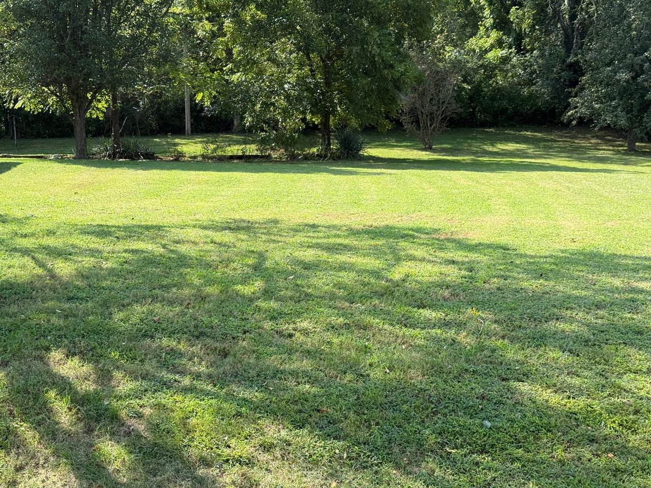 https://bt-photos.global.ssl.fastly.net/nashville/1280_boomver_1_RTC2996158-1.jpg