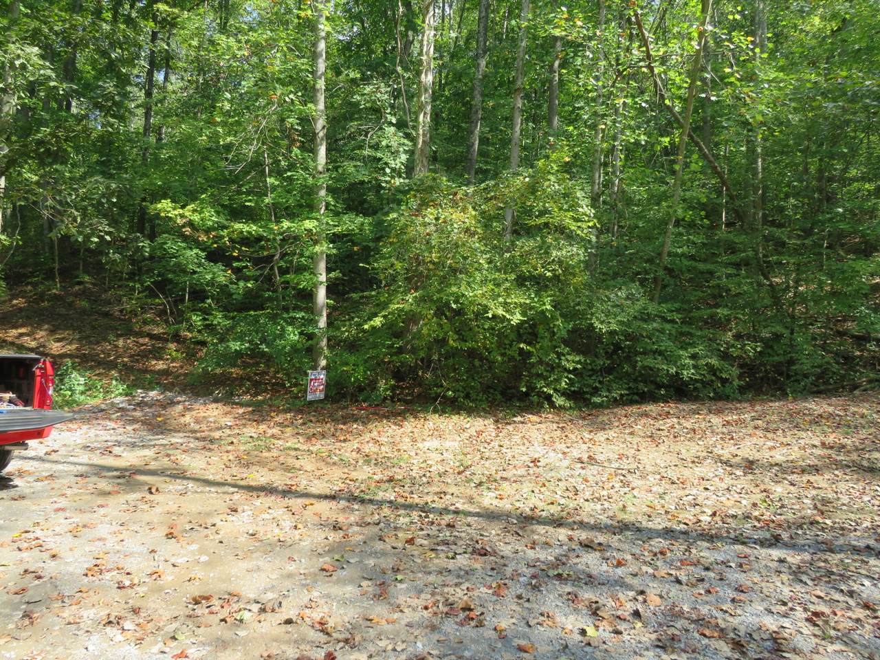 0 Bugg Hollow Rd - Photo 1