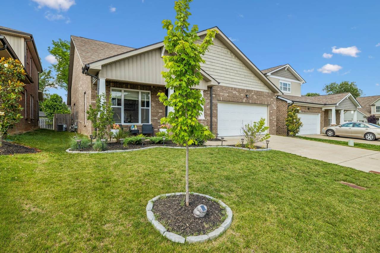 802 Carnation Dr - Photo 1