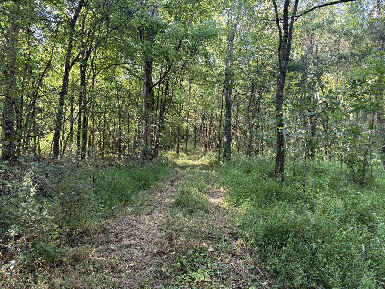 0 Gwin Place - Photo 1