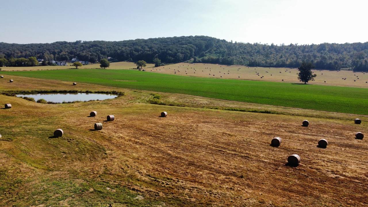 34153339 Lead Mine Valley Road - Photo 1