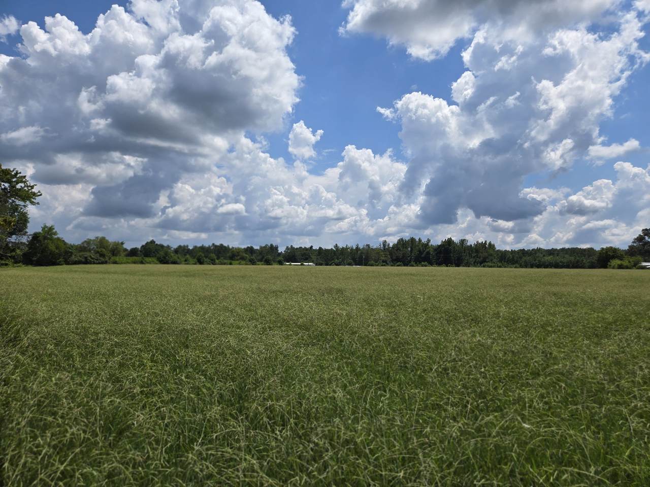 13 Hollow Springs Rd - Photo 1