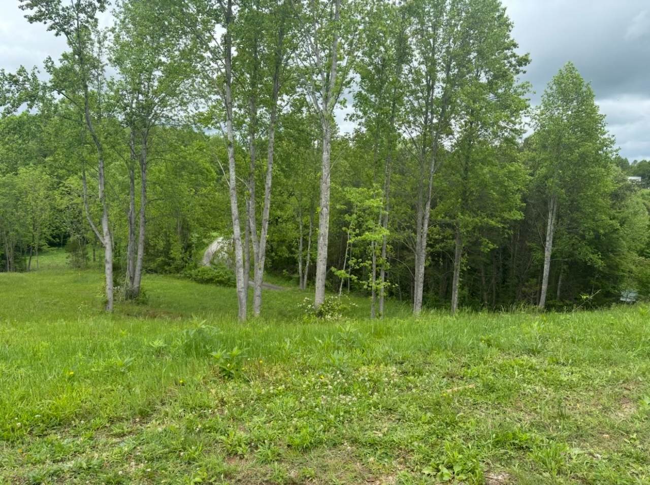 0 Union Moss Road - Photo 1