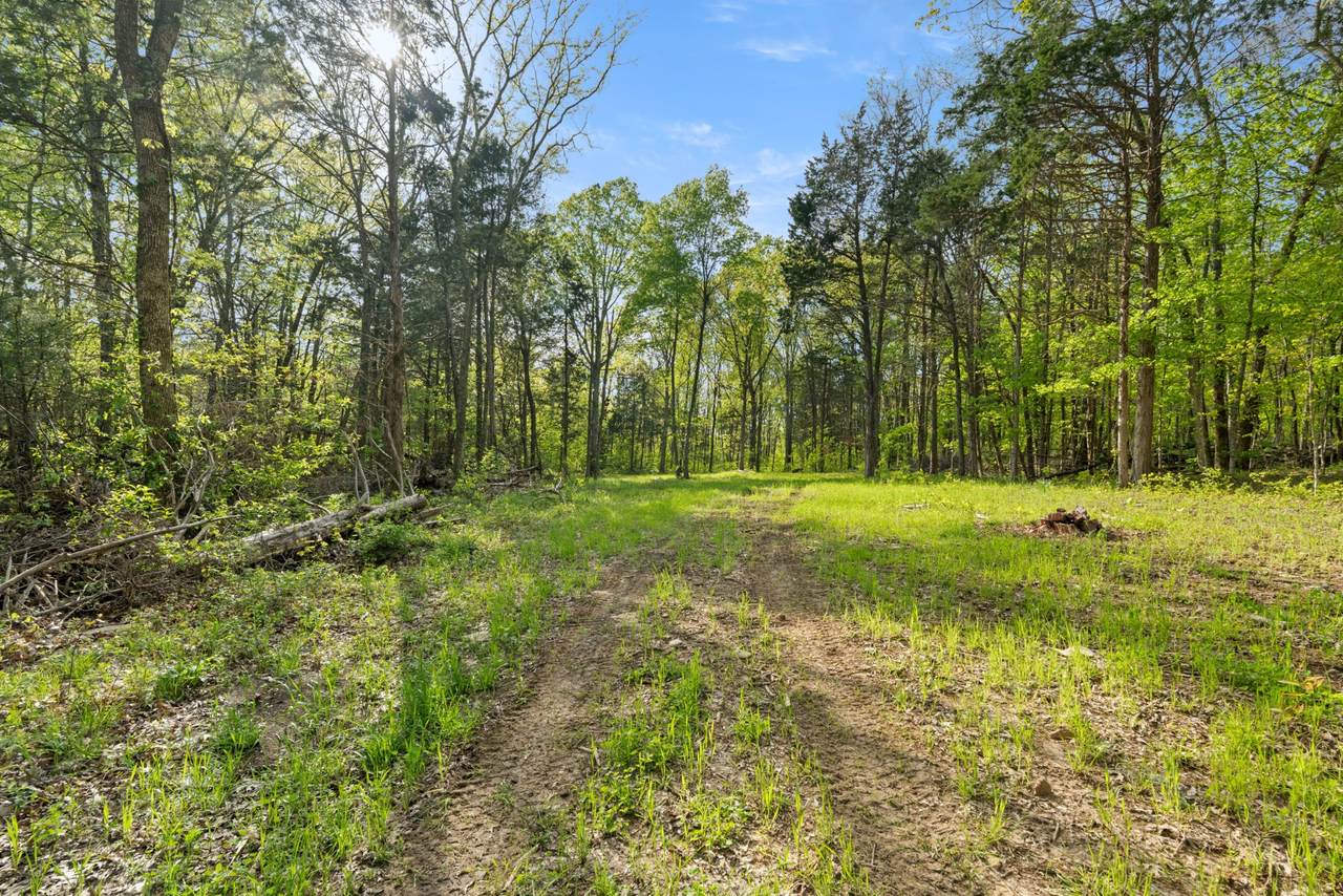 11065 Franklin Rd - Photo 1