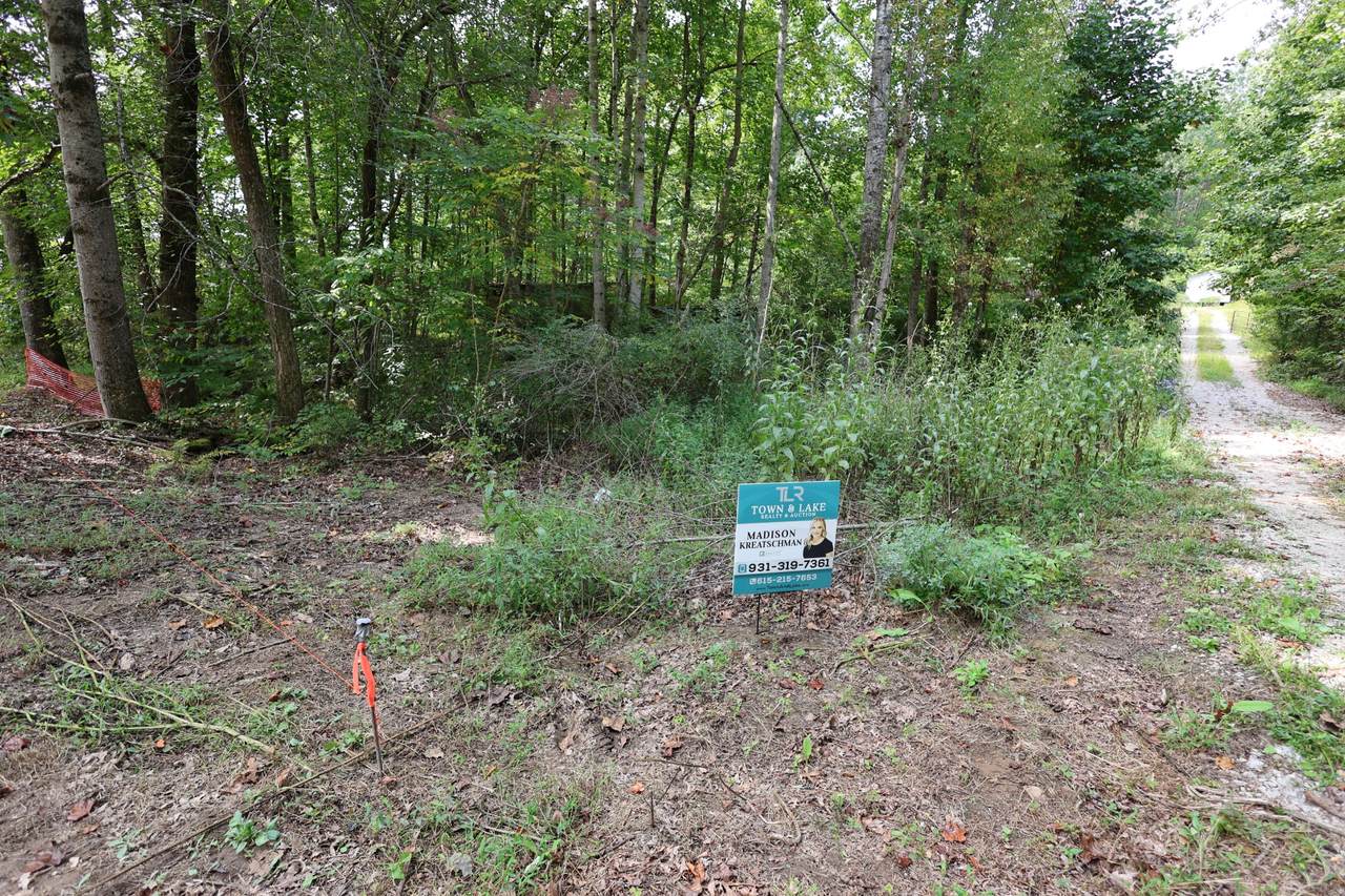 245 Woolf Pass Ln - Photo 1