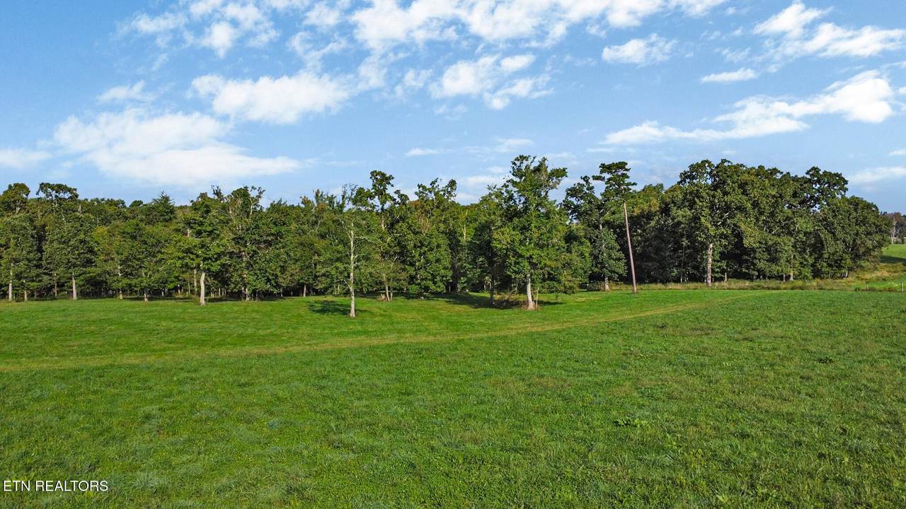 157 Triple J Tr - Photo 1