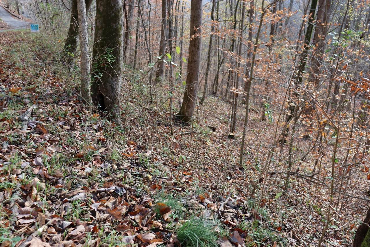 74 Cherokee Dr - Photo 1