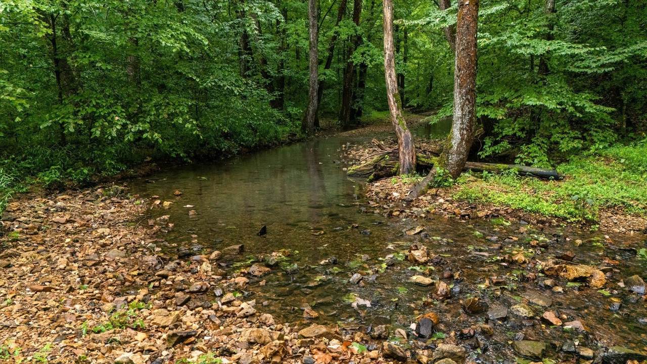 0 Furnace Hollow Road - Photo 1