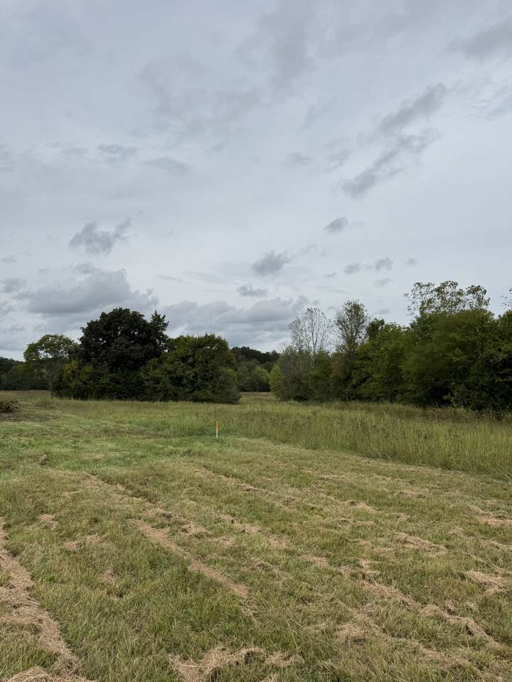 9245 Trousdale Ferry Pike - Photo 1