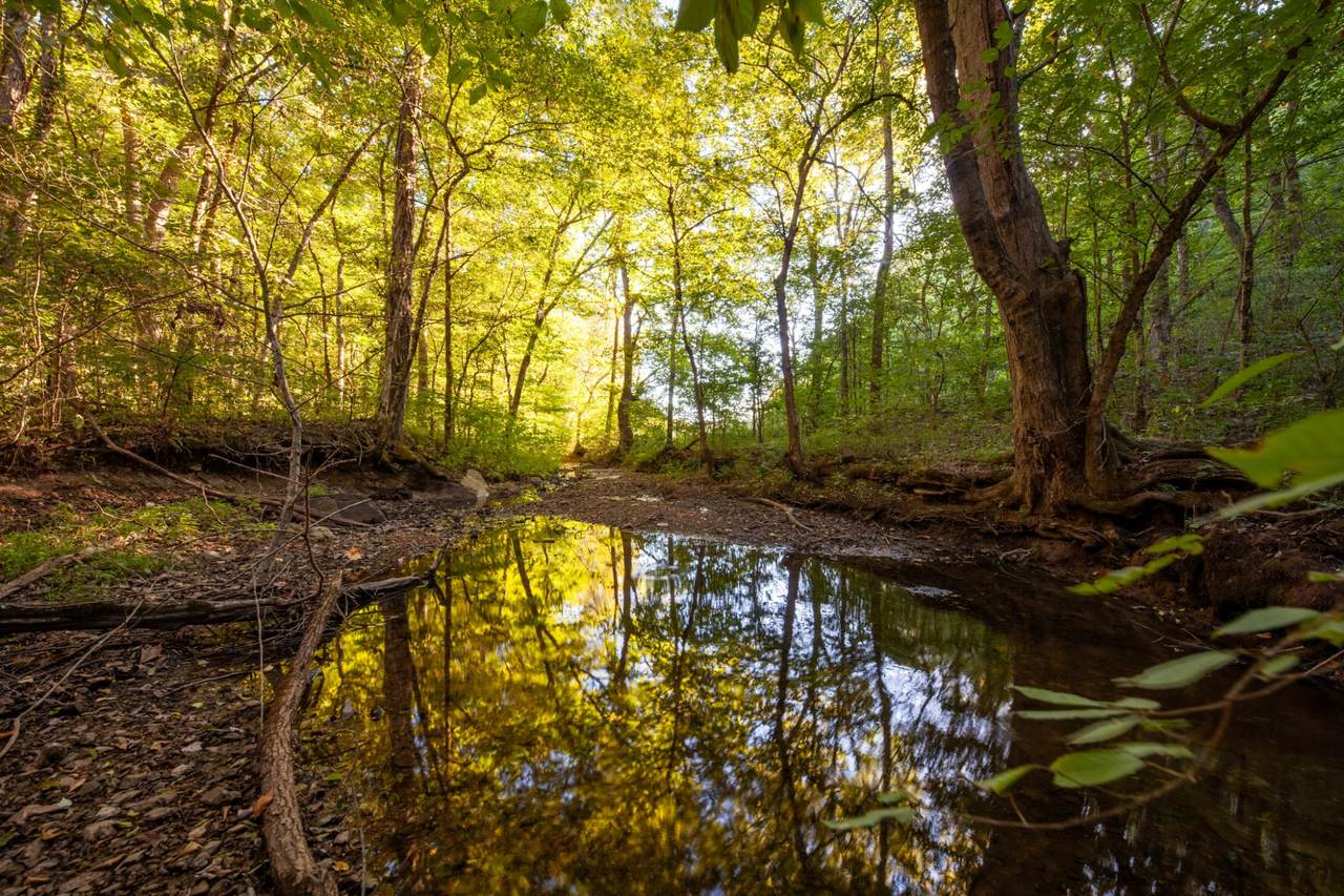 0 Sugar Ridge Rd - Photo 1