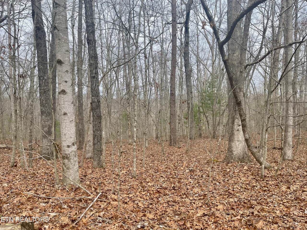 33 Leeds Terrace - Photo 1