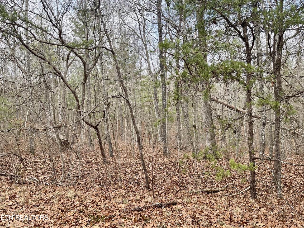 15 Glencove Court - Photo 1