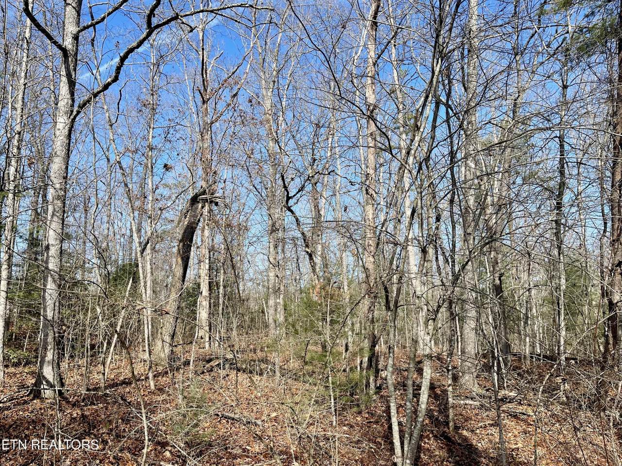 44 Rusham Circle - Photo 1