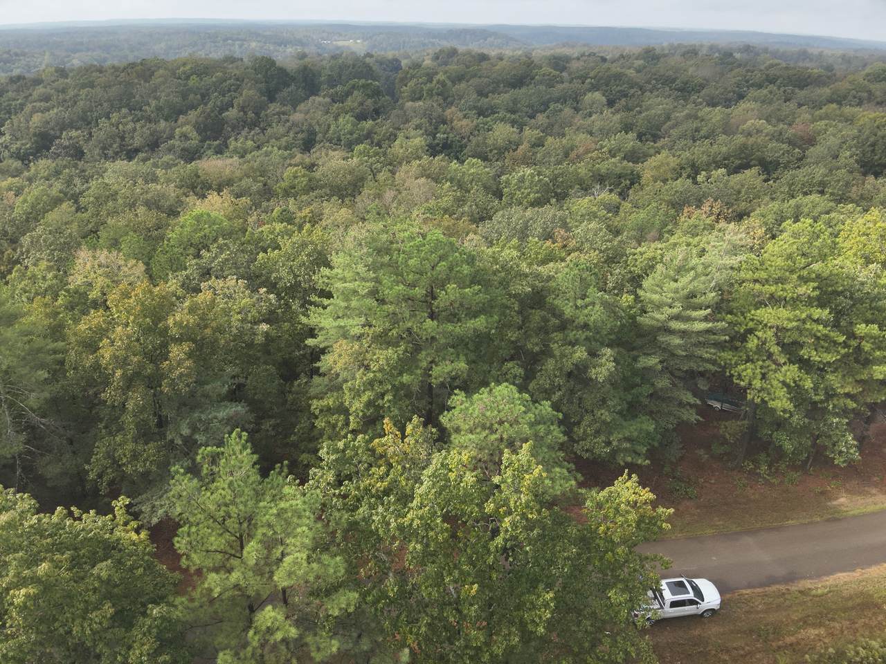 62 Hardison Ln - Photo 1