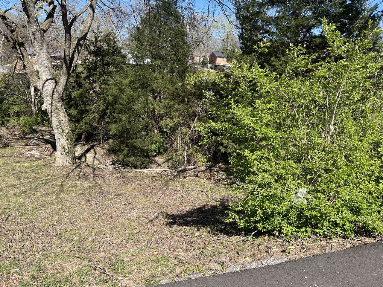 323 Clearview Dr - Photo 1