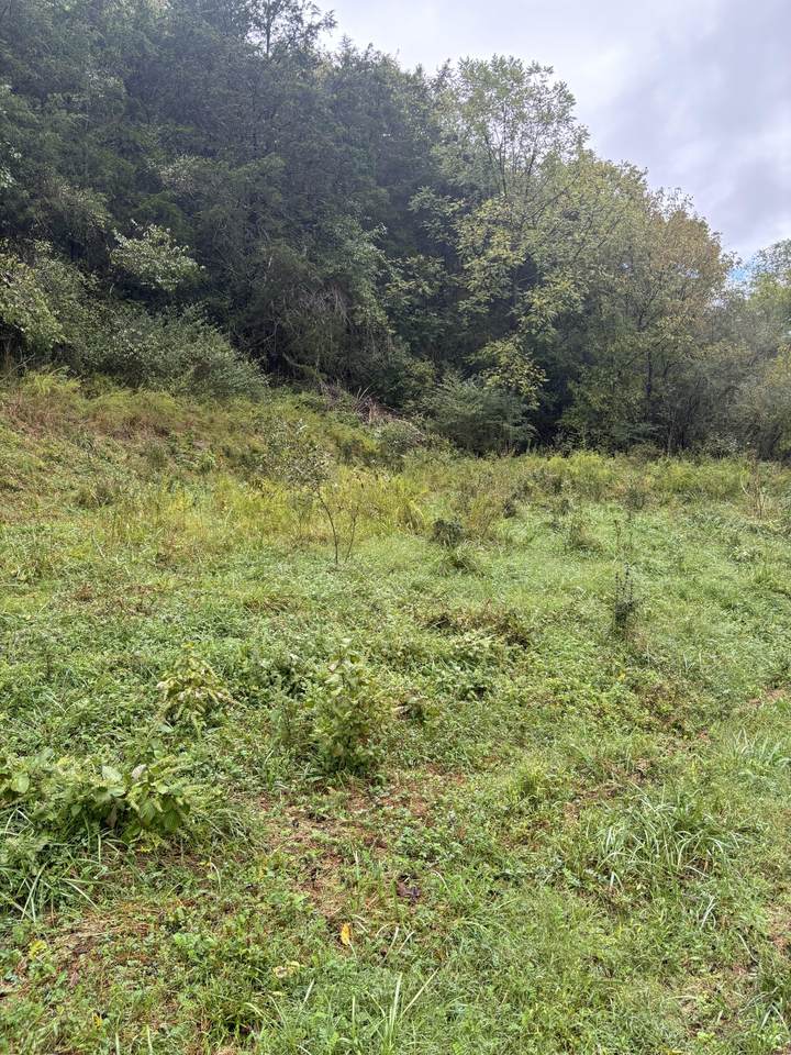 0 Gipson Hollow Road - Photo 1