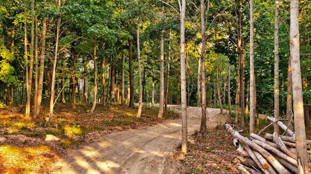 2480 Claylick Rd - Photo 1