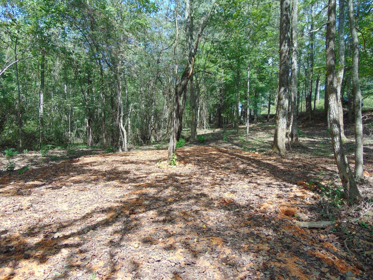 0 Alexander Springs Rd - Photo 1