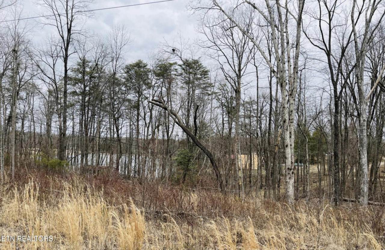 2345 Tresa St - Photo 1