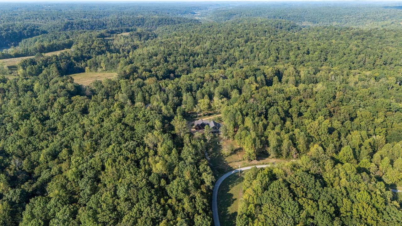 7501 Ivorybill Ln - Photo 1