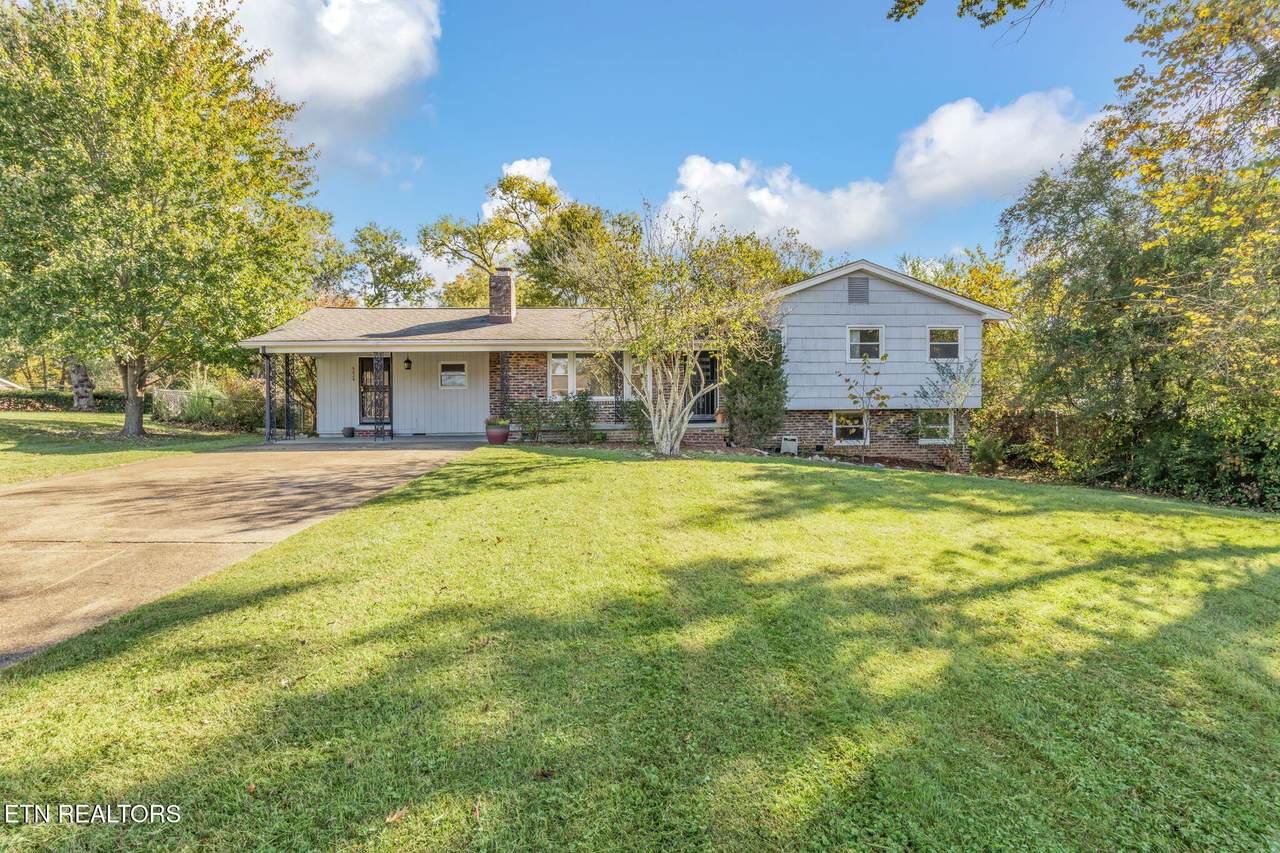 6624 Candy Lane - Photo 1