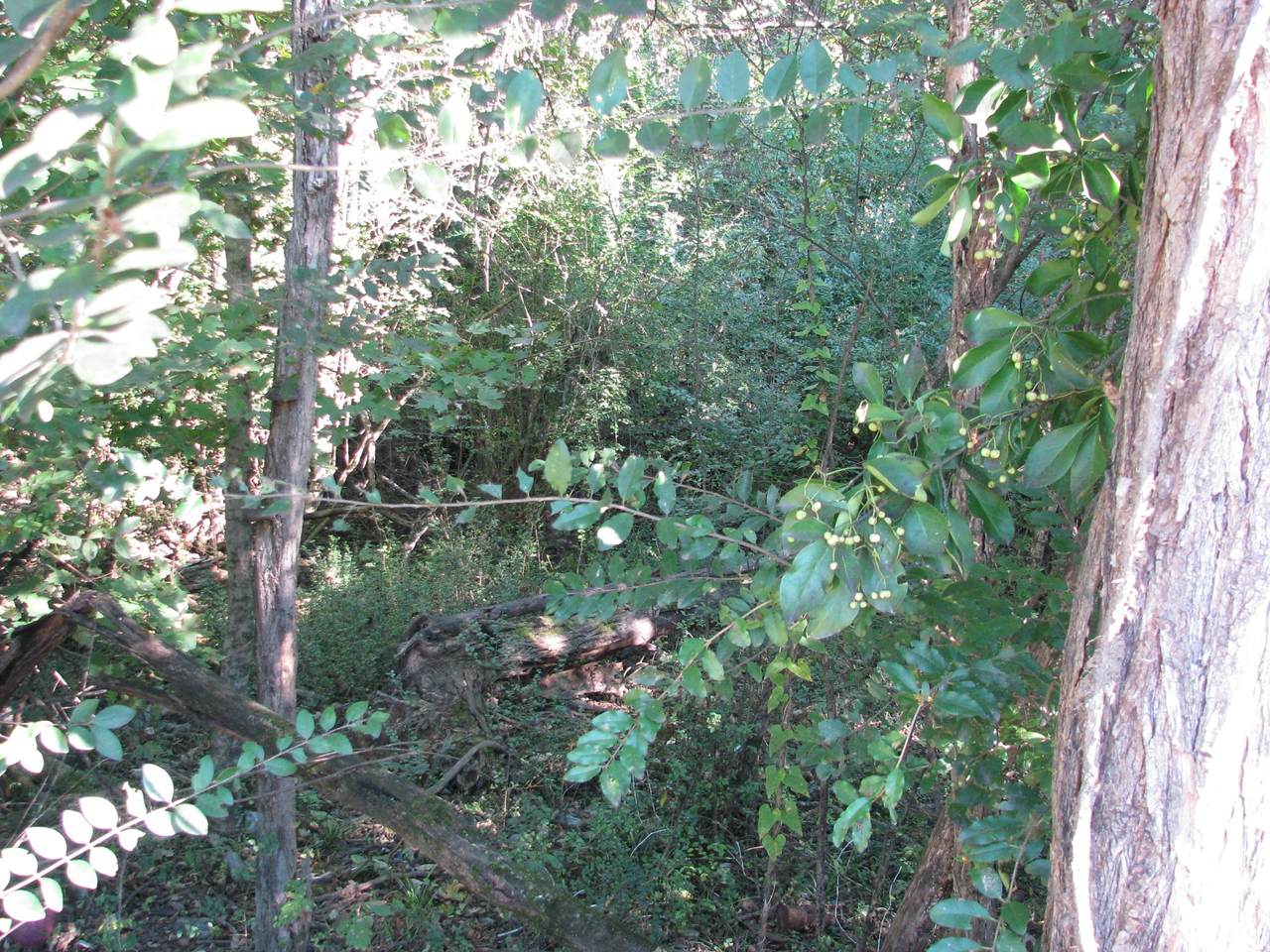 596 High St - Photo 1