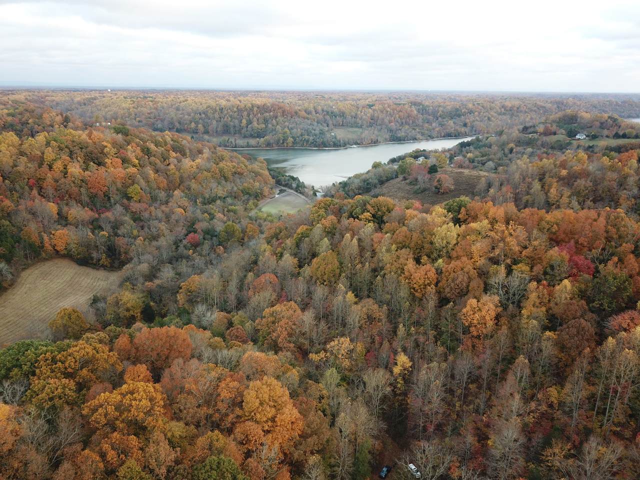 154 Plantation Dr - Photo 1