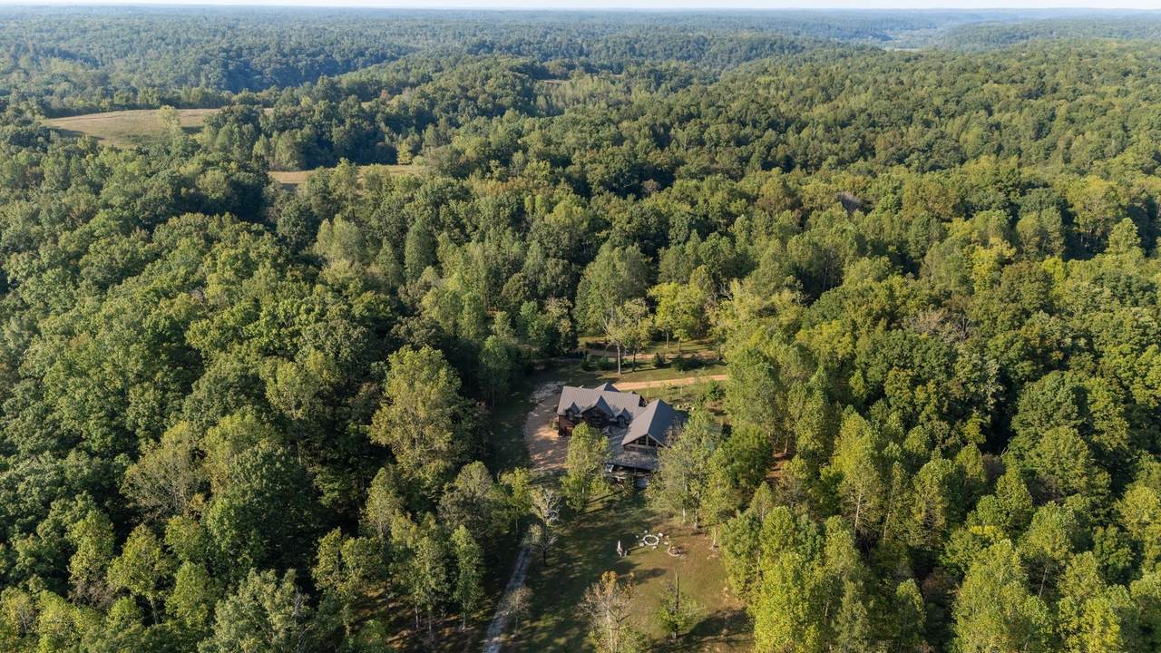 7501 Ivorybill Ln - Photo 1