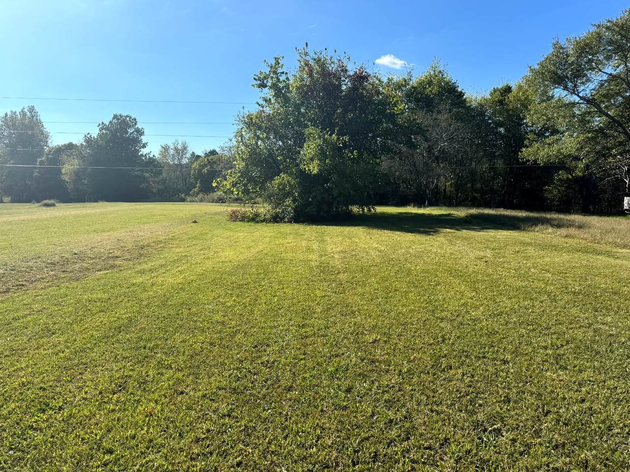 0 Manley Loop - Photo 1