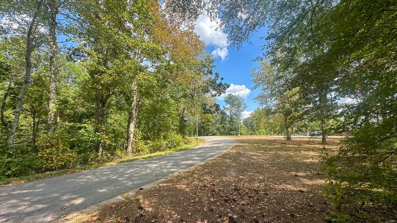 0 Jeannette Holladay Rd - Photo 1