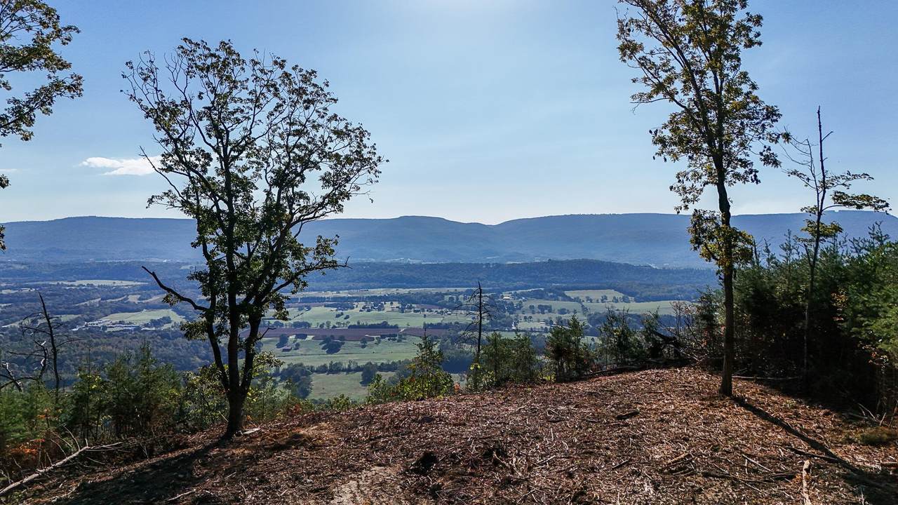 696 Windridge Drive - Photo 1