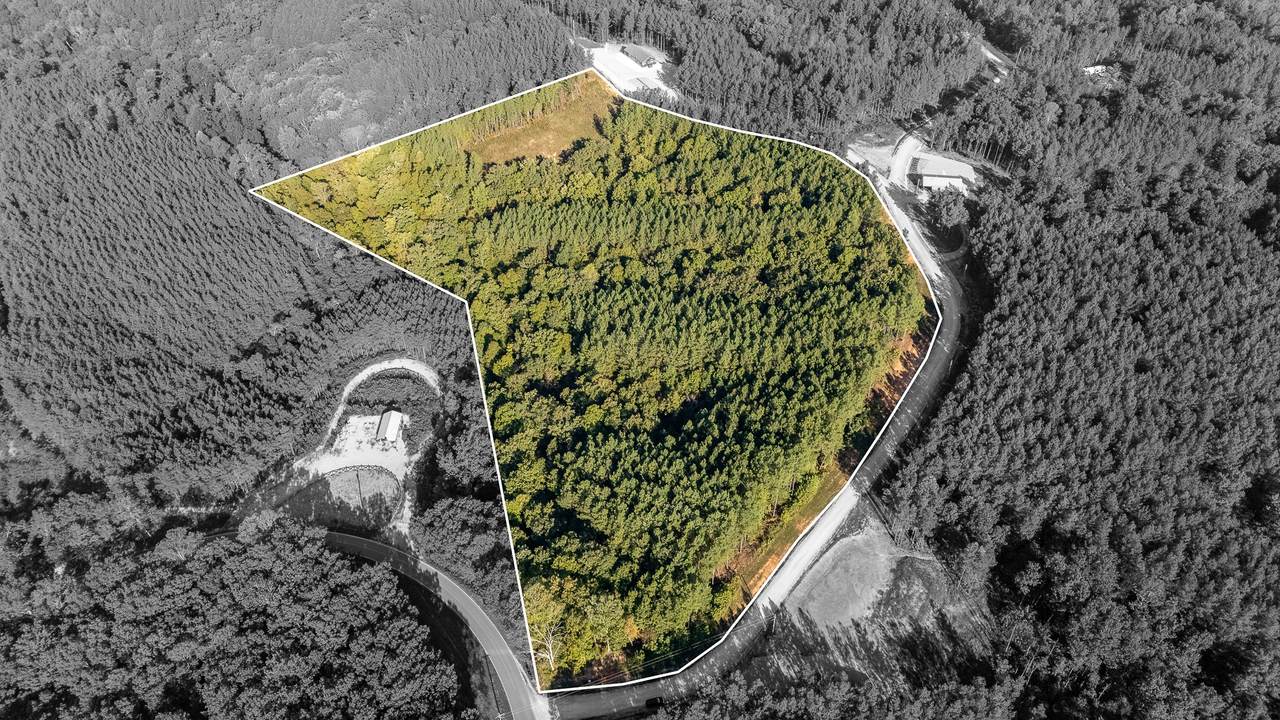 289 Center Ridge Dr - Photo 1