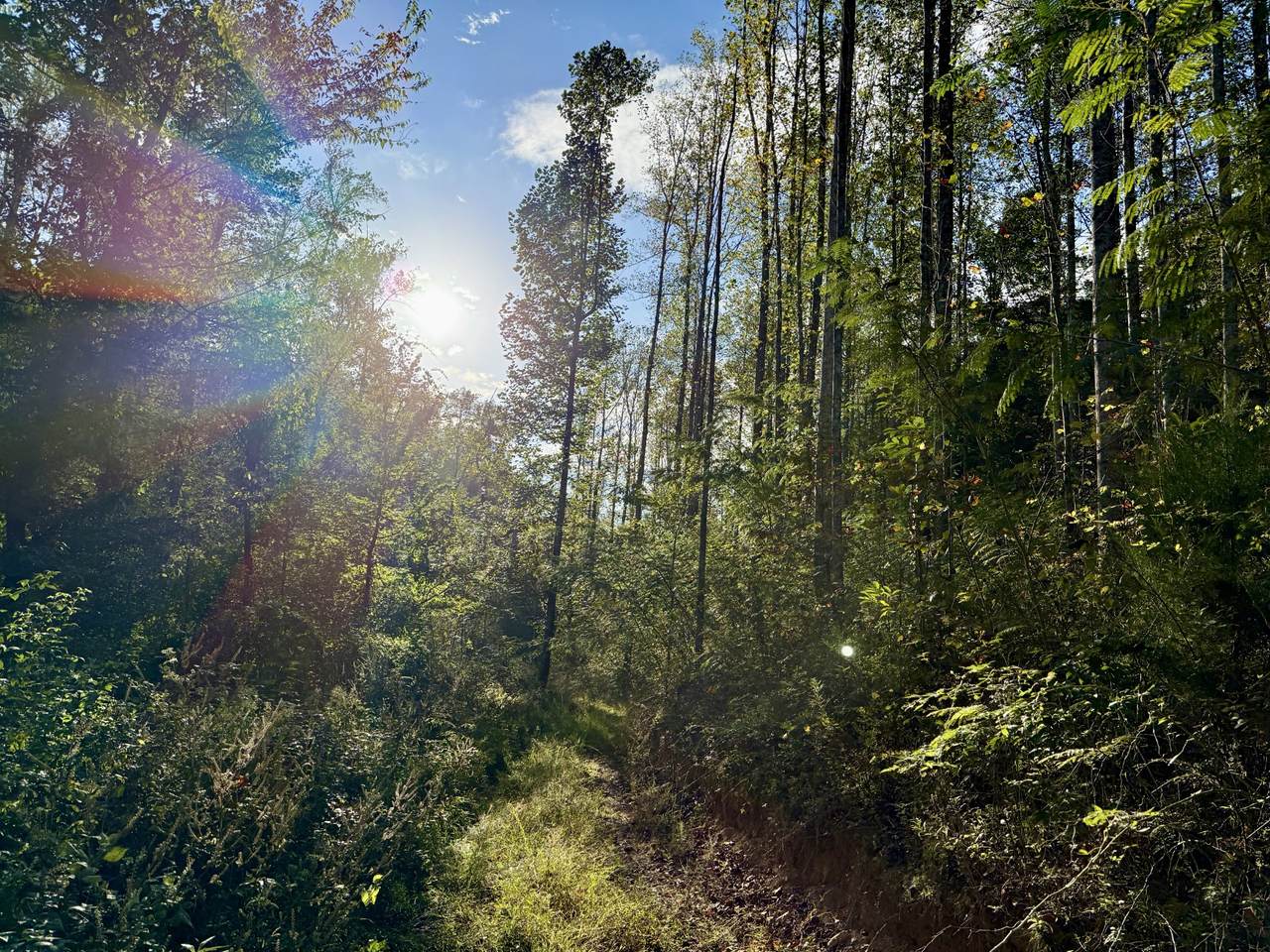 806 Brandon Hollow Rd - Photo 1