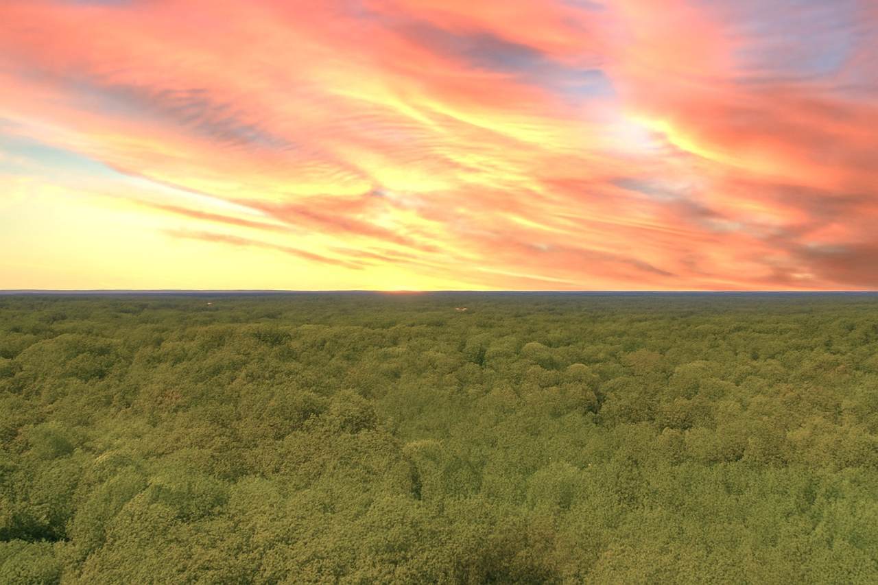 138 Vaughn Rd - Photo 1