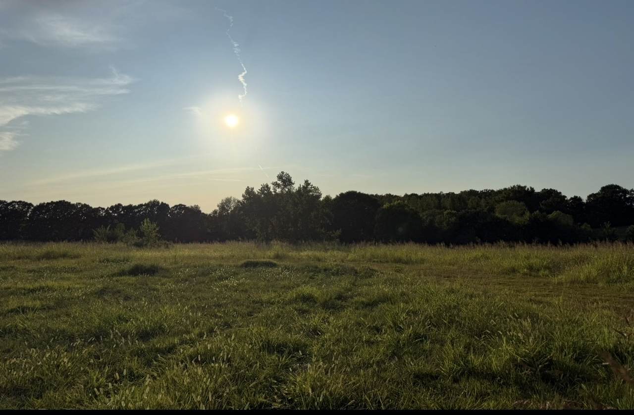 0 Dady Road - Photo 1